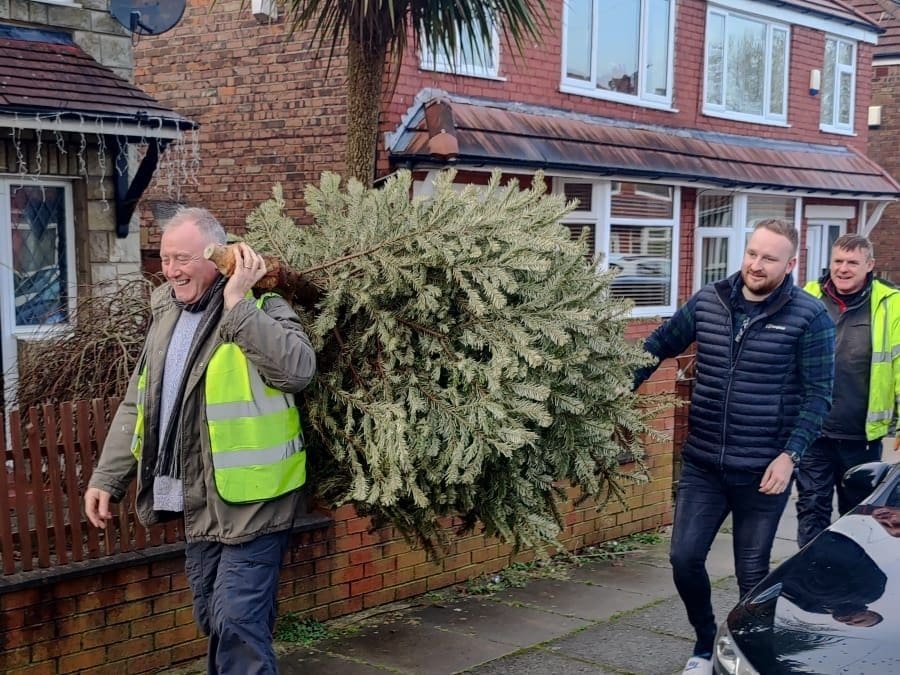 The Great Tree Collection