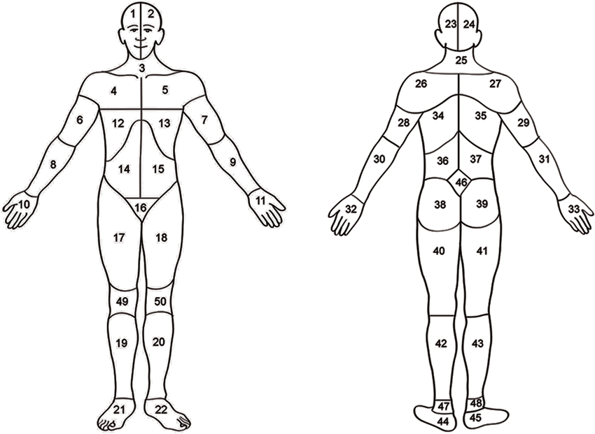 Body Map